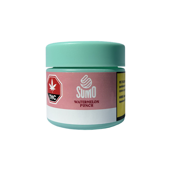 Watermelon Punch